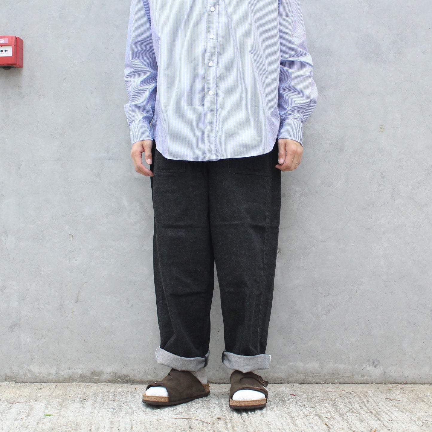 Ordinary Fits - JAMES PANTS