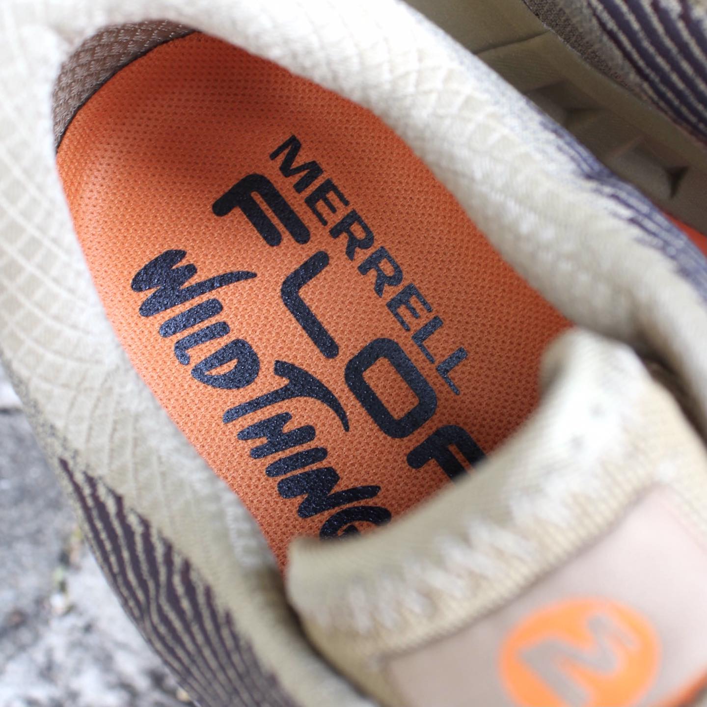 WILD THINGS X MERRELL Agility Peak 4