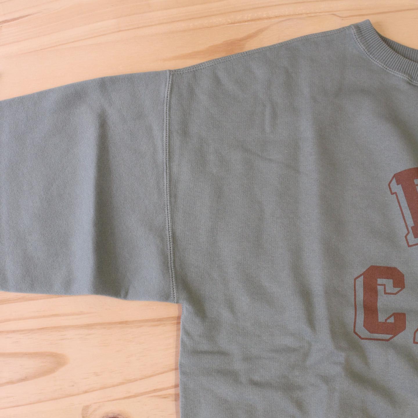 RIDING HIGH - DUSTY COLOR CREW SWEAT DAY CAMP